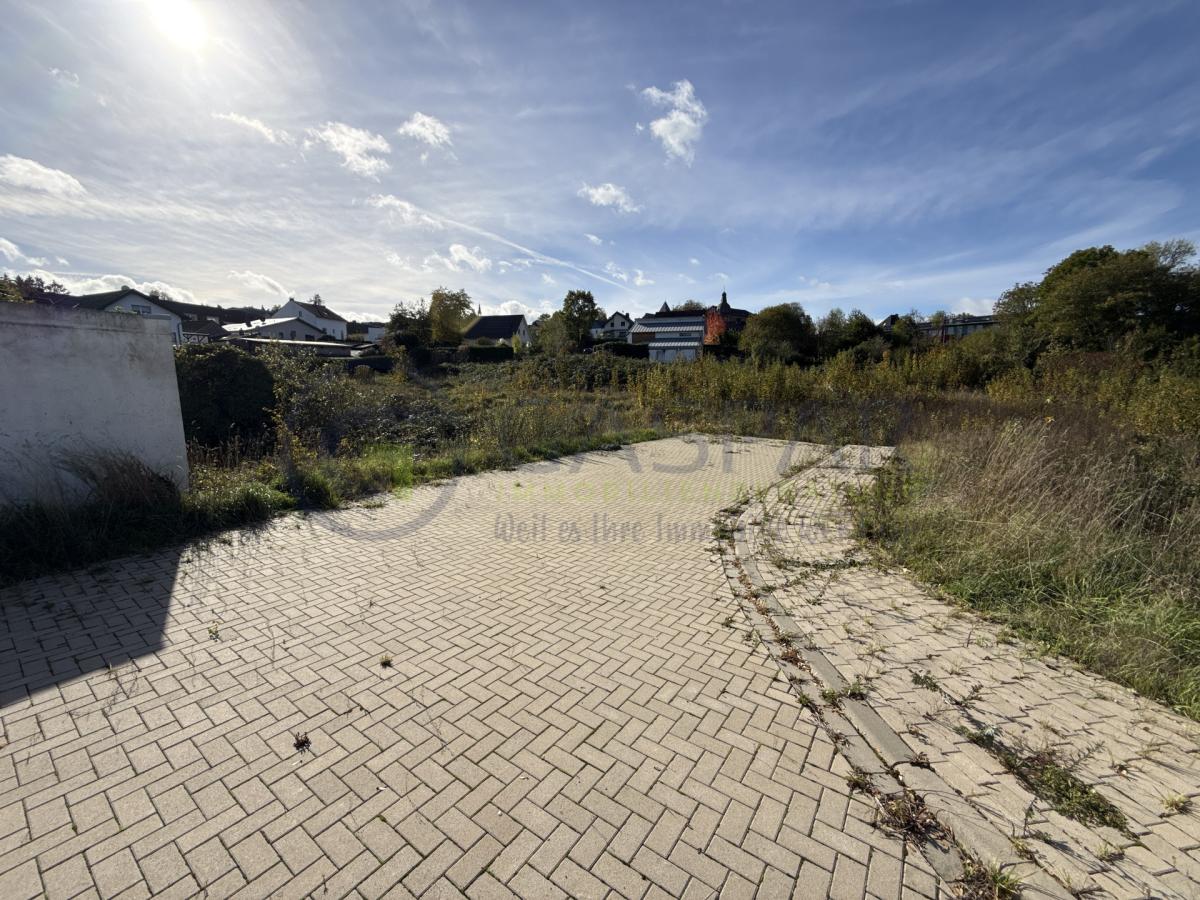 Gepflasterte Zufahrt und Stellfläche