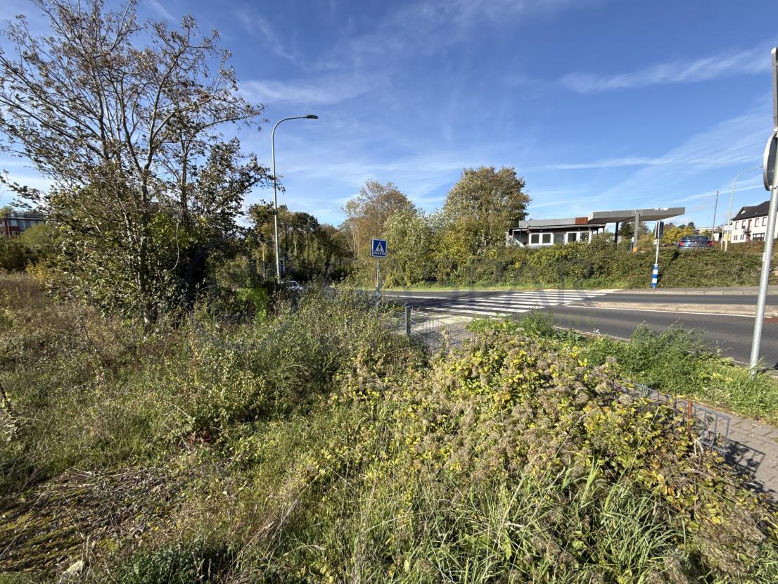 Grundstücksecke am Fußgängerüberweg