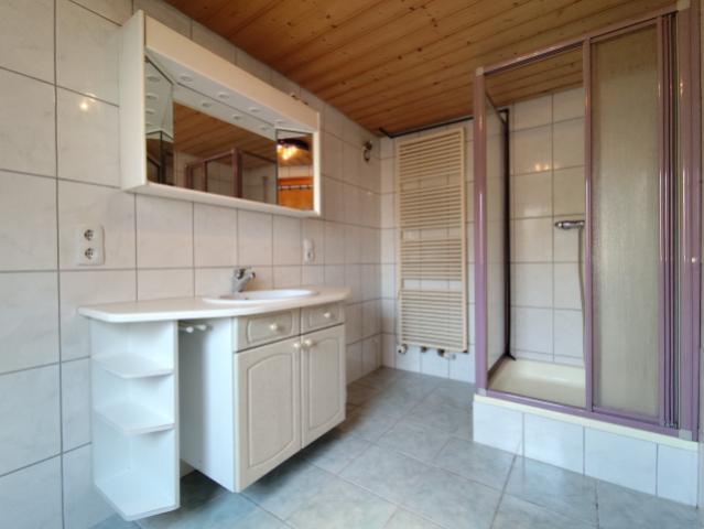 Nebenhaus Tageslichtbad mit Dusche