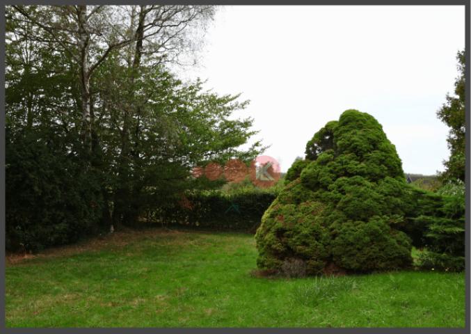 Gartenblick