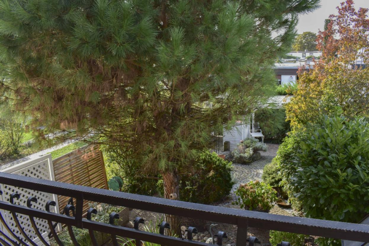 Blick in den Garten