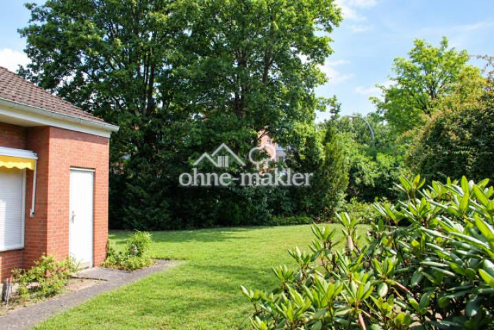 Garten alter Baumbestand