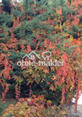 bunter Herbst Garten