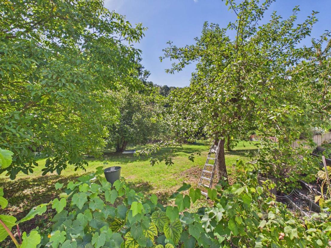 Blick in den Garten 
