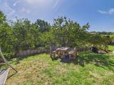 Garten und Obstbäume 