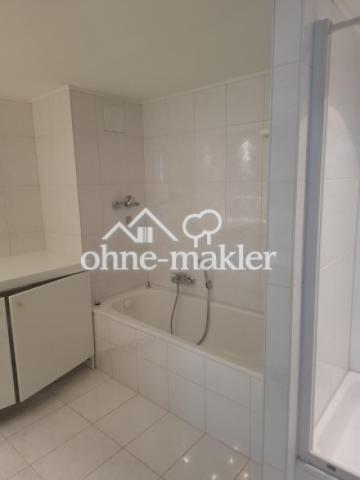 Badewanne, Dusche