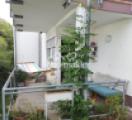 Terrasse mit Garten 
