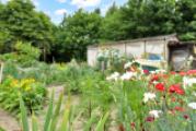 Garten
