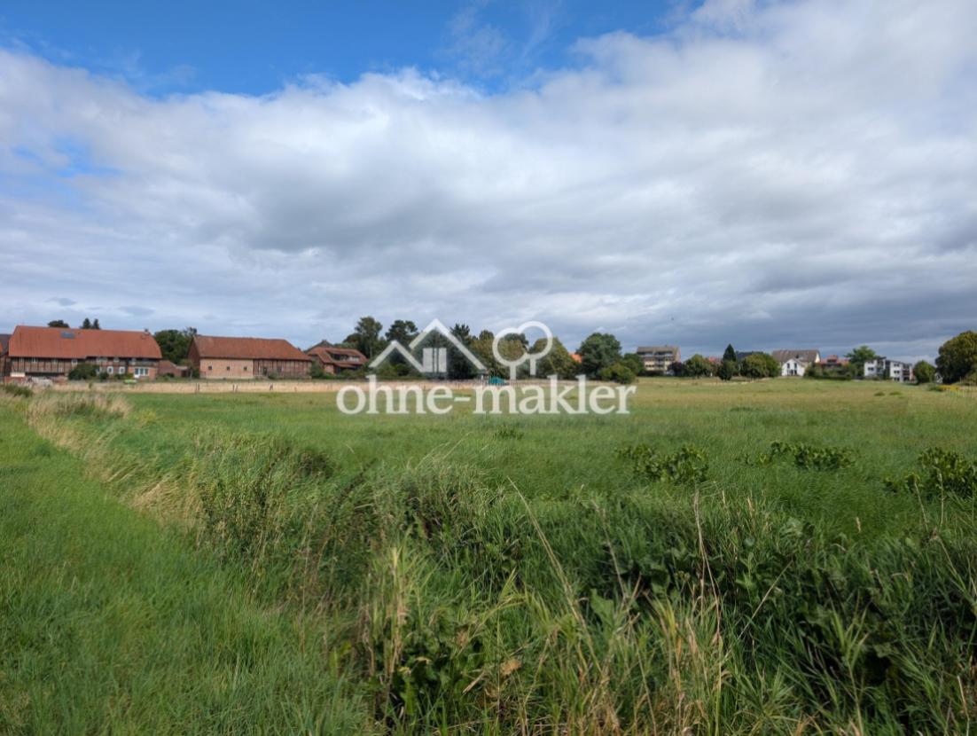 Ansicht auf Garten von SW - 2