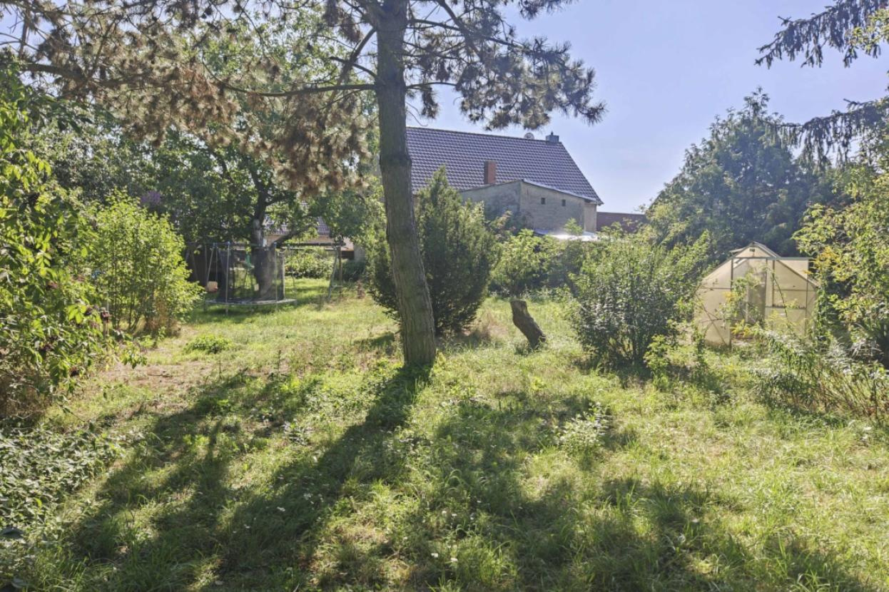 Garten(1)