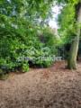 Gartenansicht