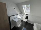 Badezimmer m . Duschwanne