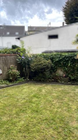Garten 2