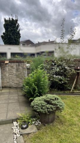 Garten 4