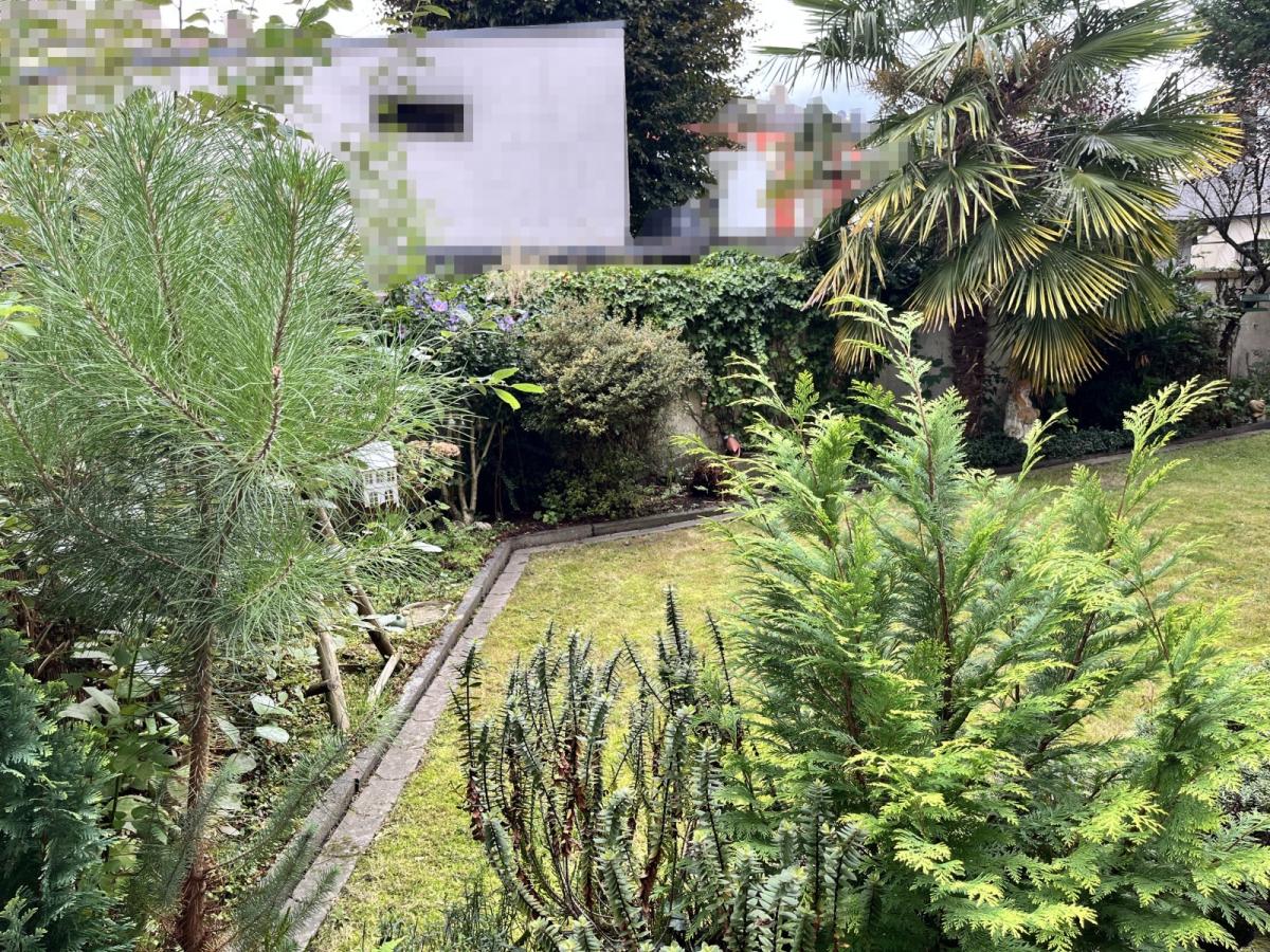 Garten 5