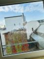 Ausblick