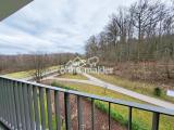 Blick von der Loggia ins Grüne