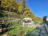 Garten / Terrasse