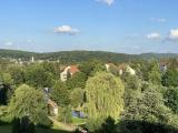Blick
