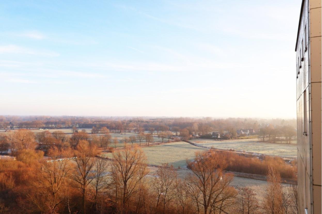 Ausblick