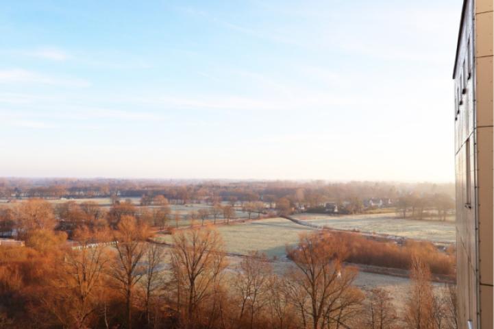 Ausblick