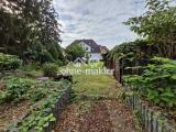 Garten Blick aufs Haus