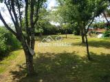Blick in Garten