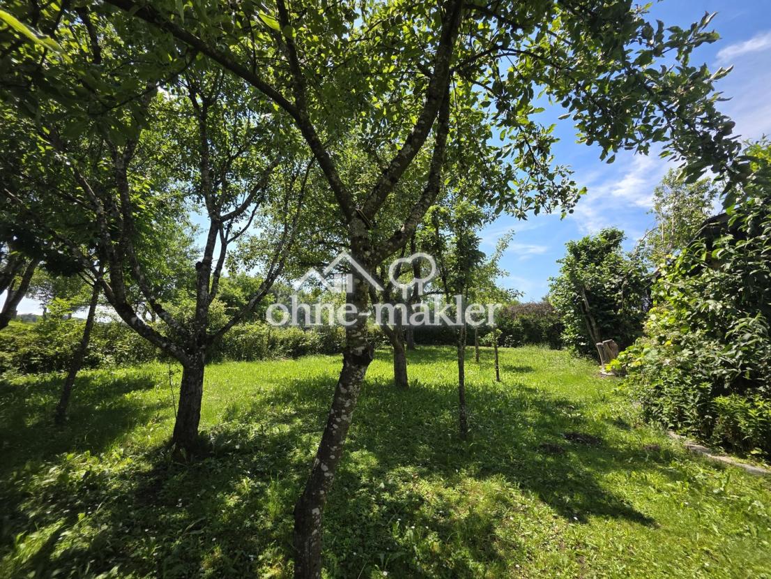 Blick in Garten