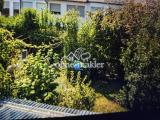 Rückansicht garten