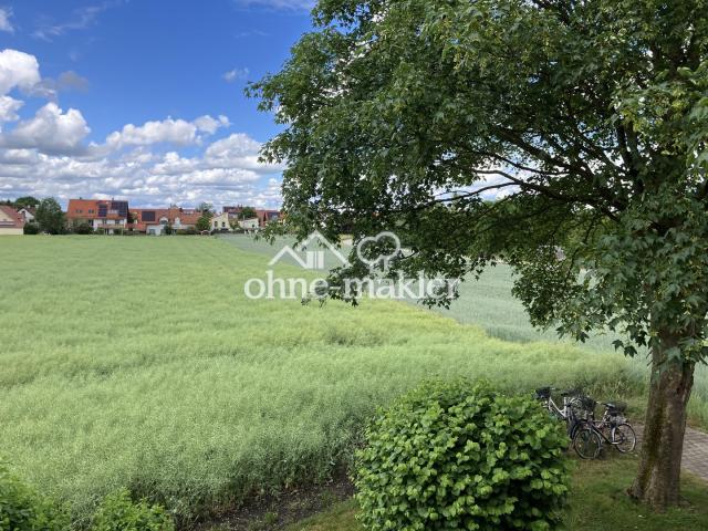 Blick auf Garten und Feld
