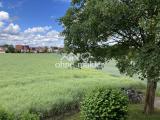 Blick auf Garten und Feld