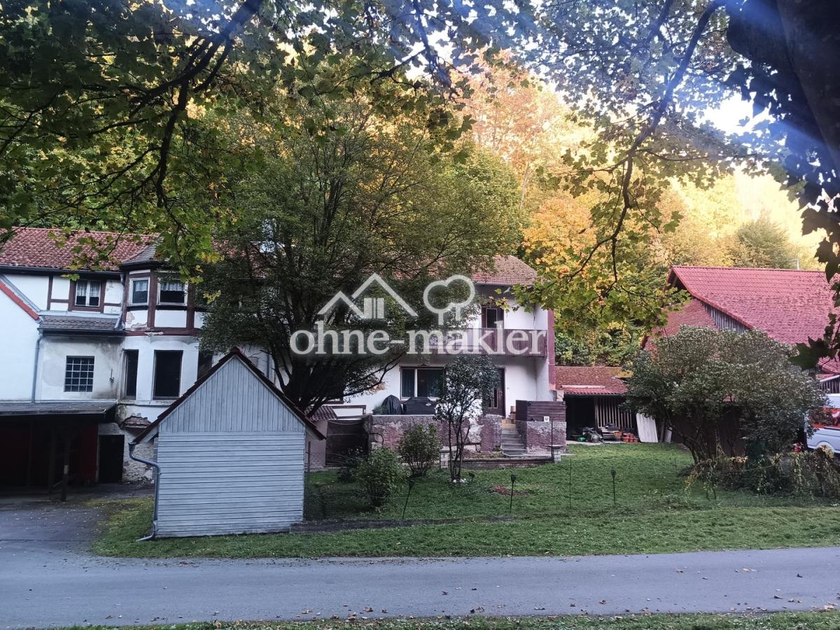 Sommerbild1