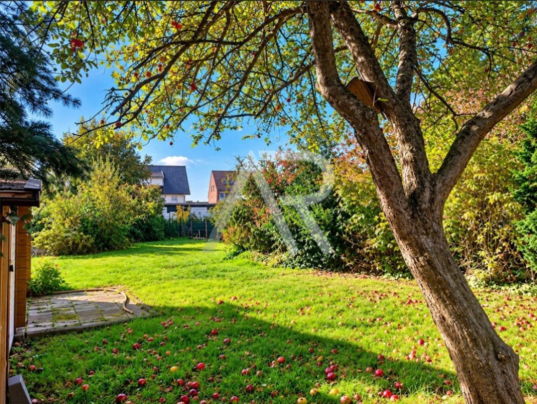 Gartenbereich hinten