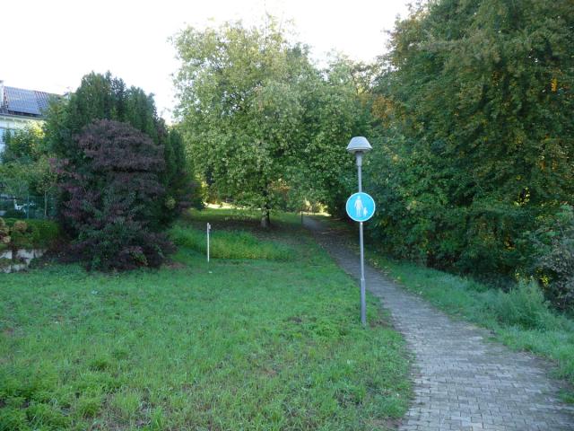 Ein Schulweg nach oben