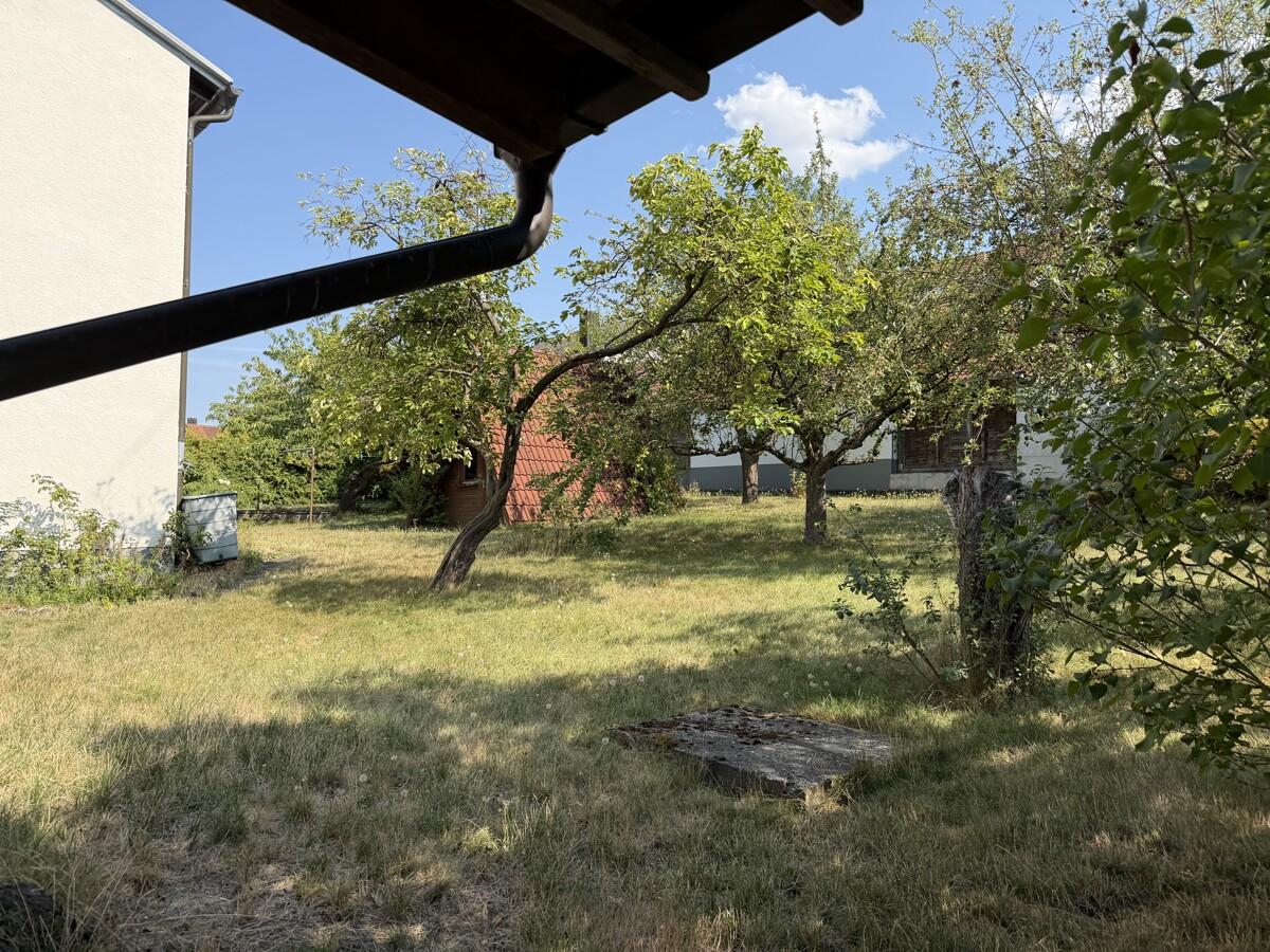 Garten mit Baumbestand