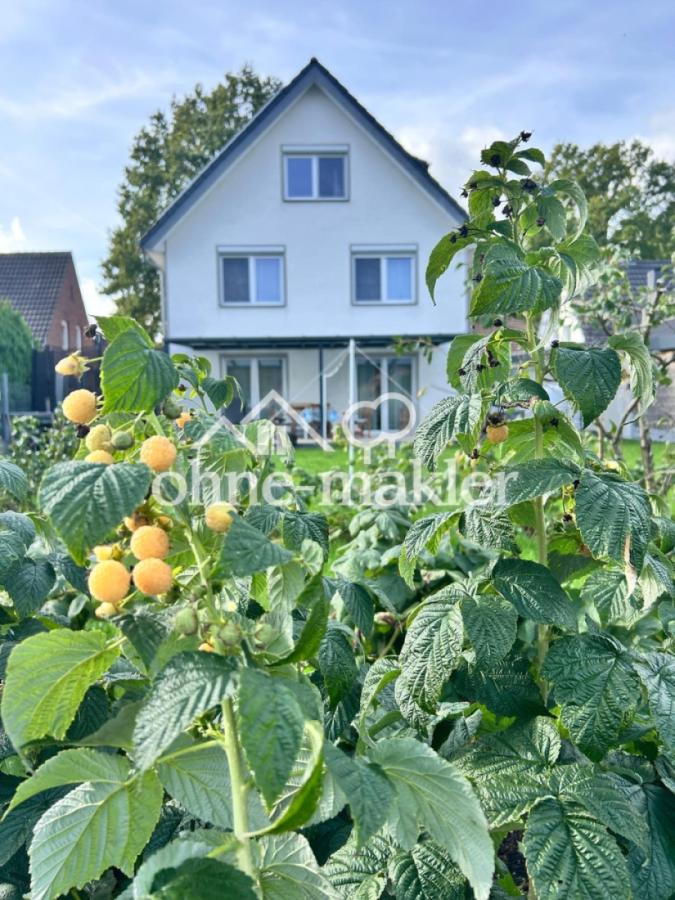 Blick aus dem Garten