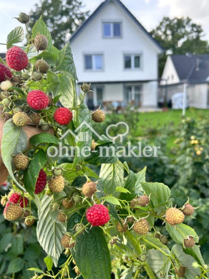 Blick aus dem Garten