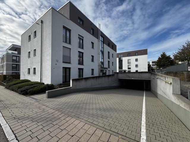 Haus