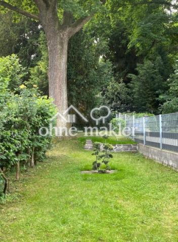 Garten mit altem Baumbestand