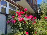 Rosengarten mit > 200 Rosen 