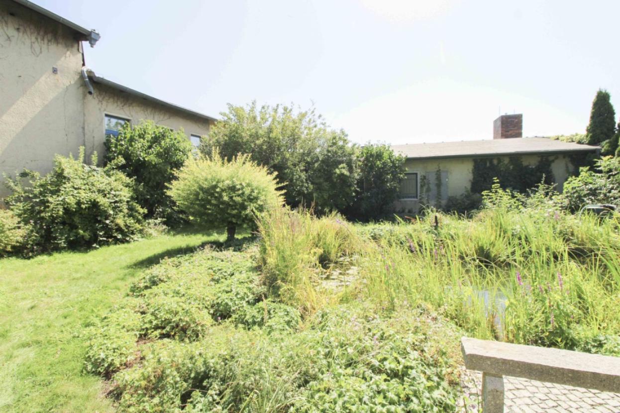 Garten mit Teich