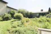 Garten mit Teich