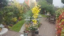 Garten 2