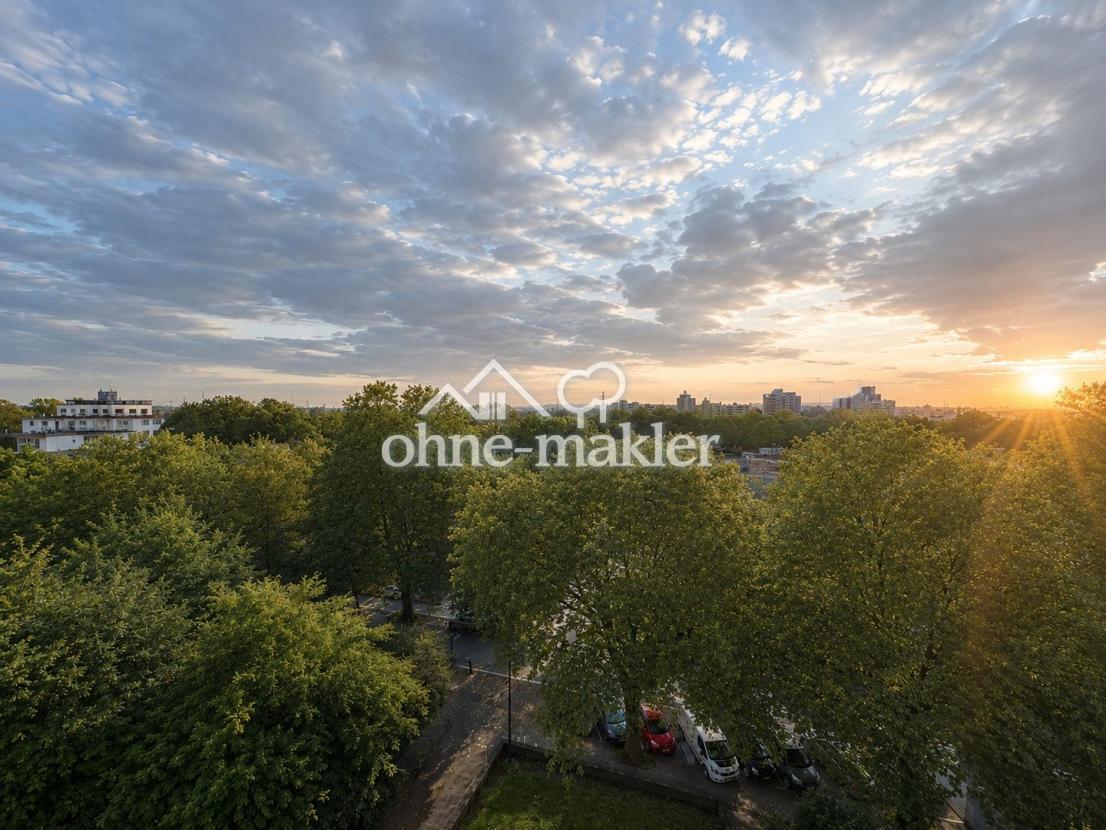 Blick über Weiden