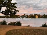 zu Hause am See