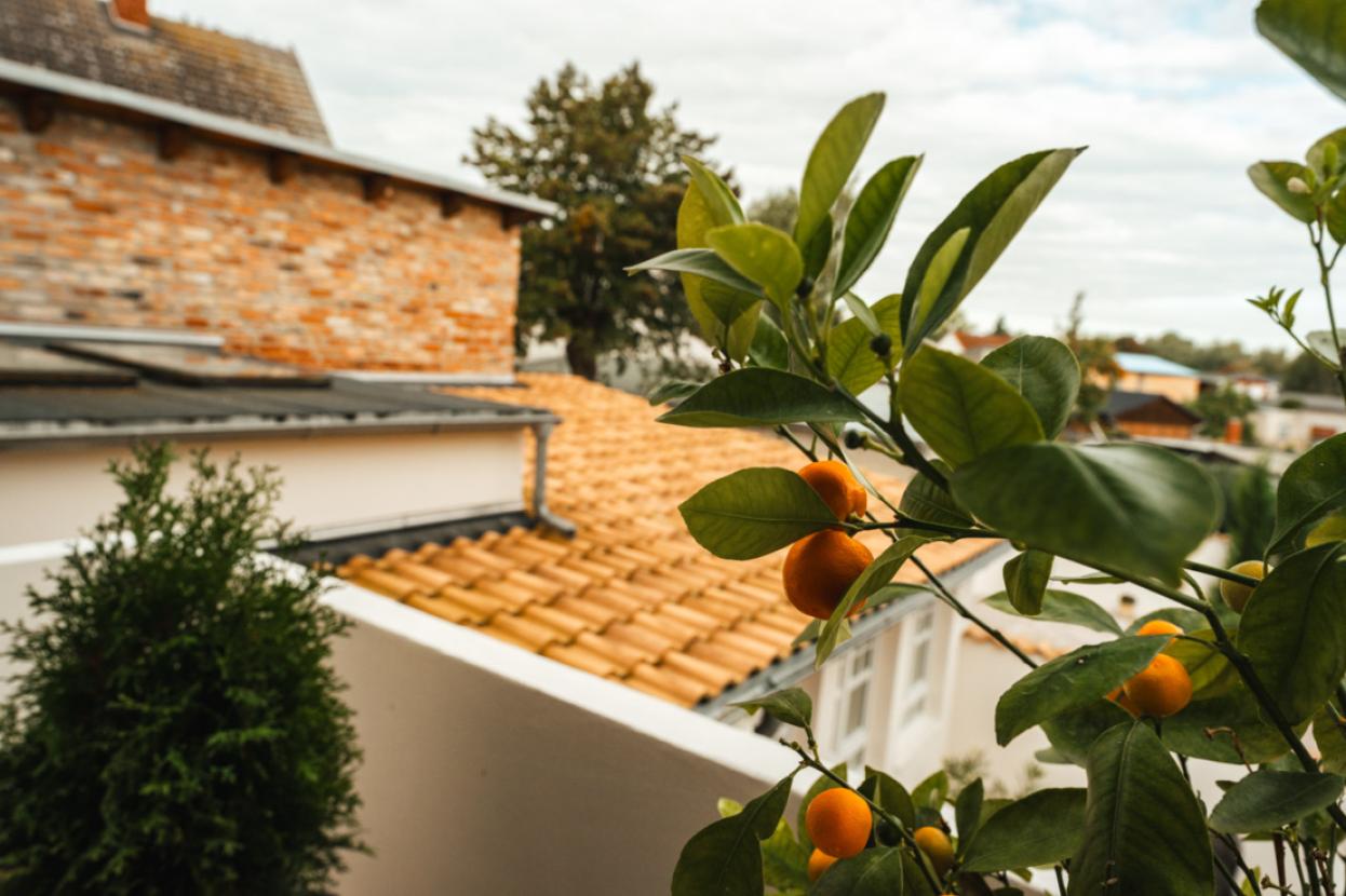 Blick aus dem Schlafzimmer