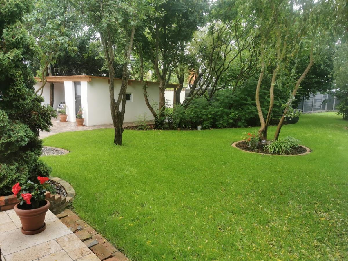 Garten mit Blick zum Carport
