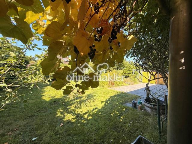 Wein im Garten