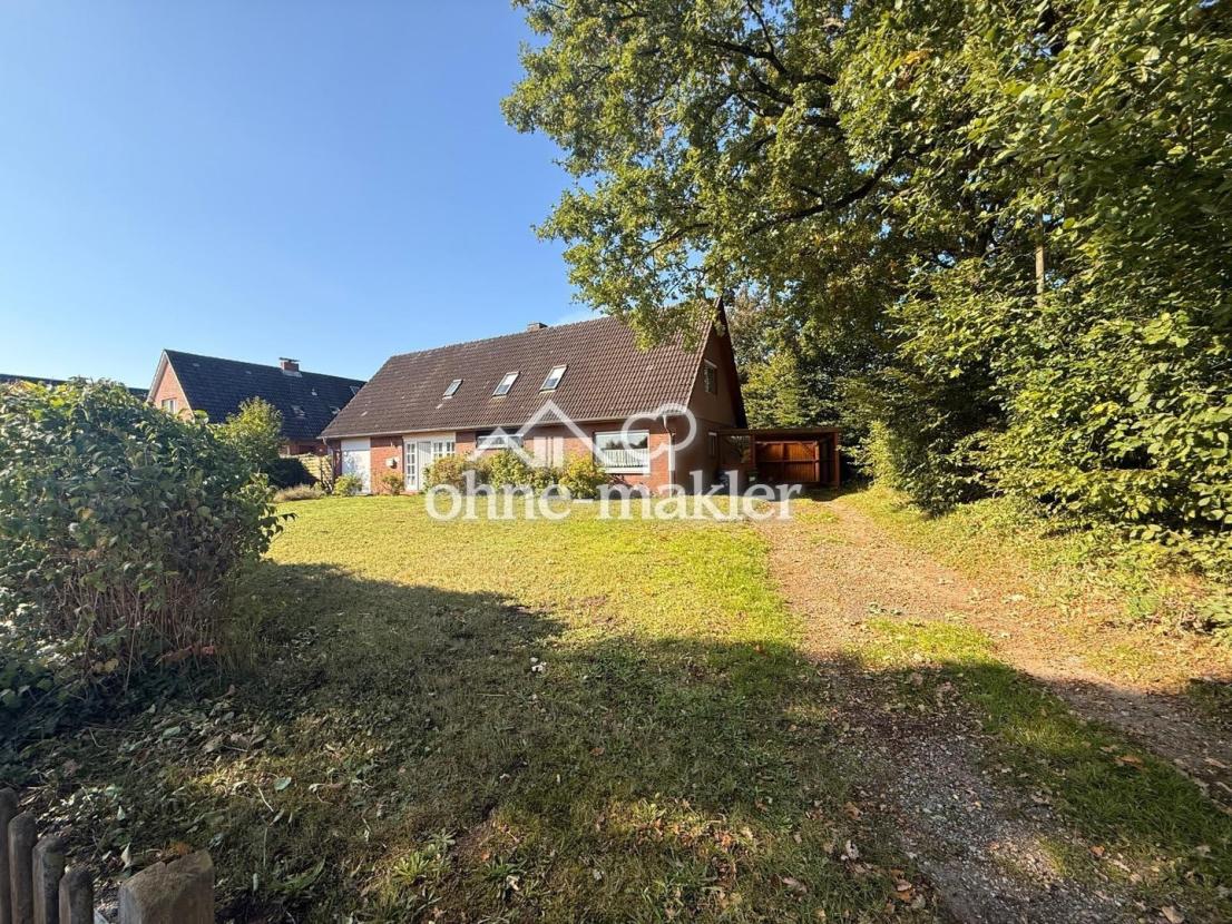 Carport hintere Einfahrt